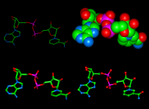 Molecular Modeling